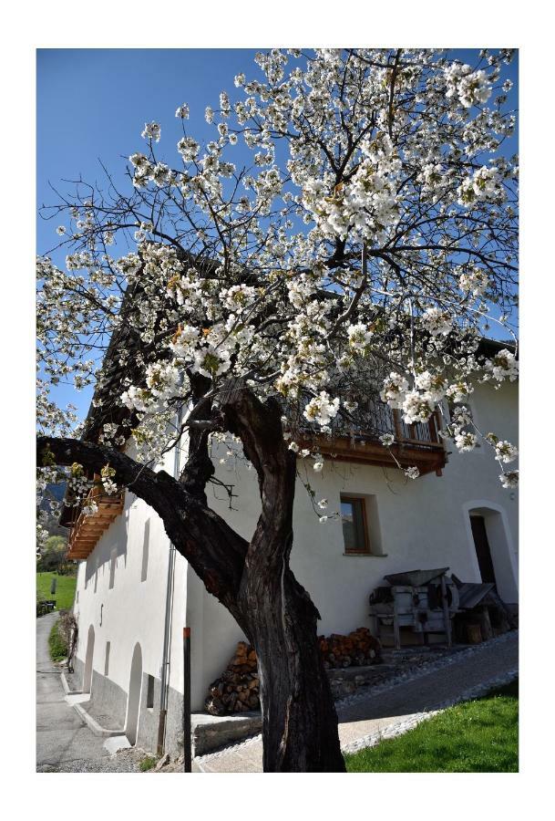 La Maison Abeil LʼArgentière-la-Bessée Exterior foto